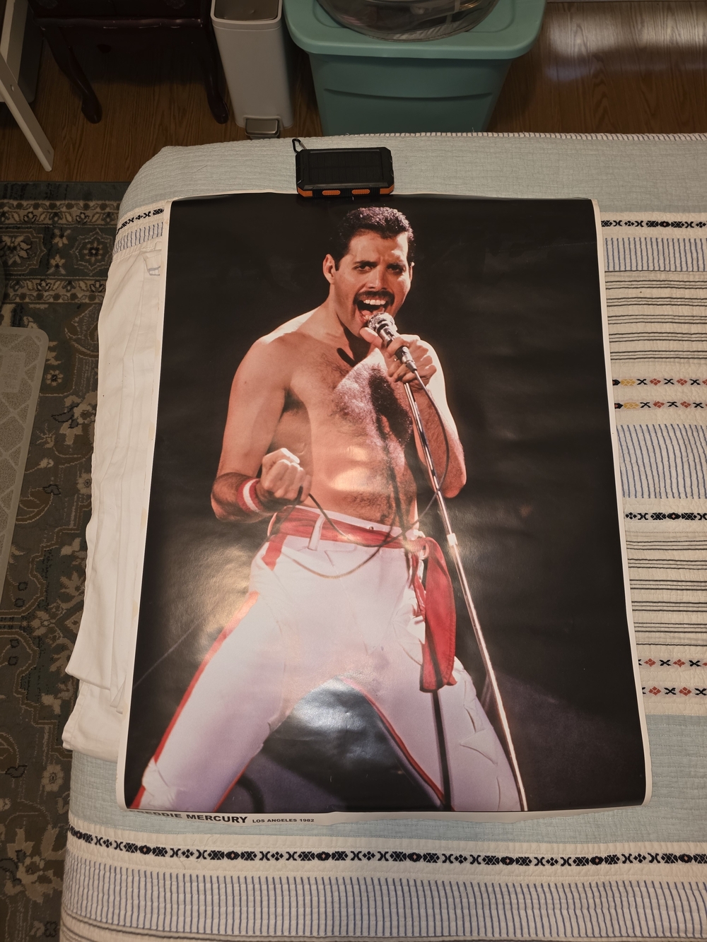Freddy Mercury Live In Los Angeles 1982 Poster
